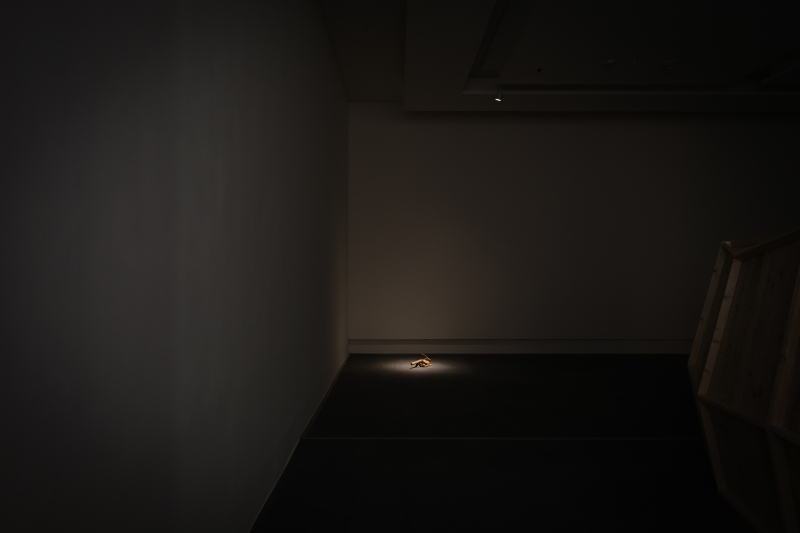 《金礦、深淵、山神廟》林彥翔個展｜林彥翔｜國藝會補助成果檔案庫